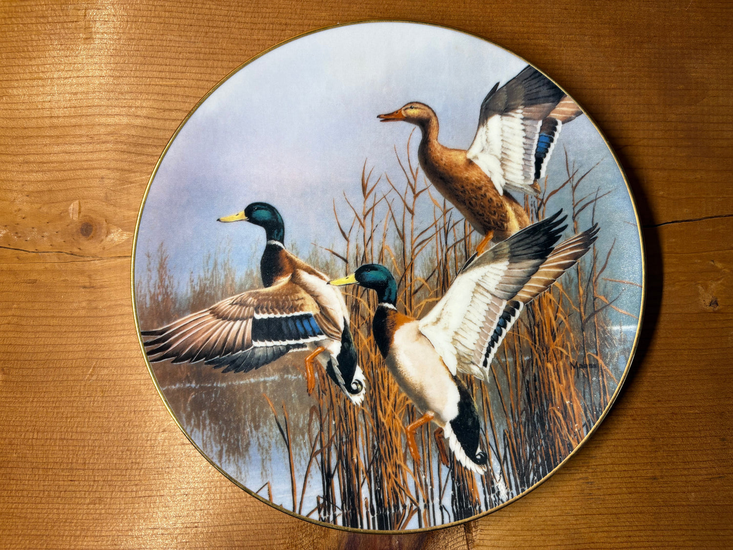 Vintage Waterfowl Finds