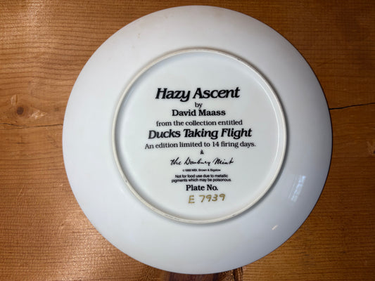 1988 "Hazy Ascent" by David Maass
